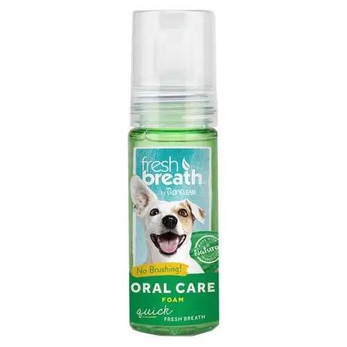 FRESH BREATH ORAL CARE FOAM