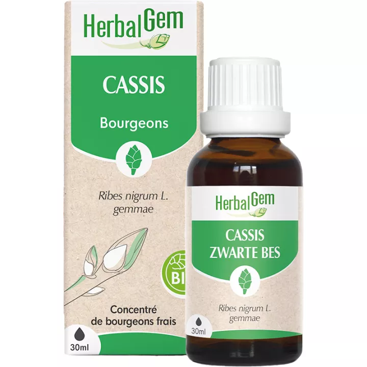 Herbalgem Macerat Mère Cassis Bio 30 ml