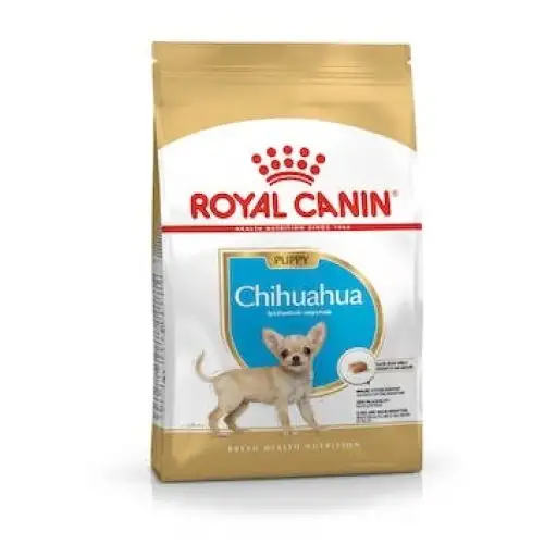 BHN CHIHUAHUA PUPPY 1,5KG