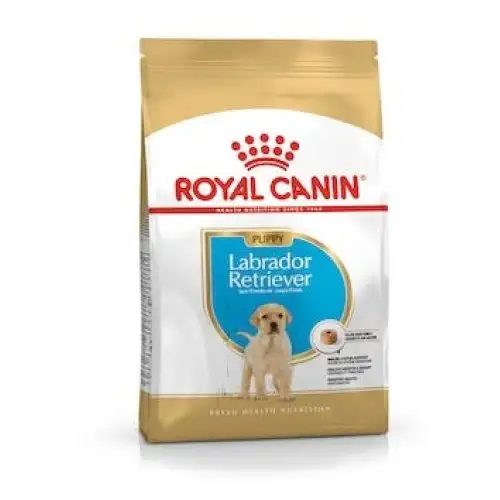 BHN LABRADOR PUPPY 12KG