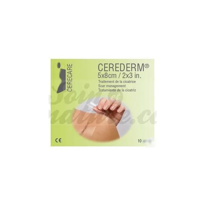 Cerederm Pansements adhérents siliconés 5x8CM /10