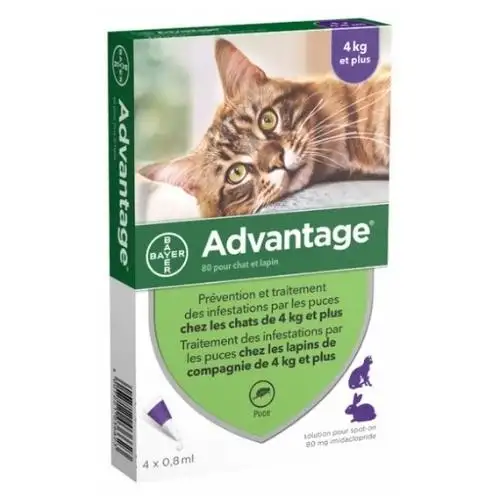 ADVANTAGE 80 Antipuce Pour Chat et Lapin de 4kg et + (4 Pipettes)