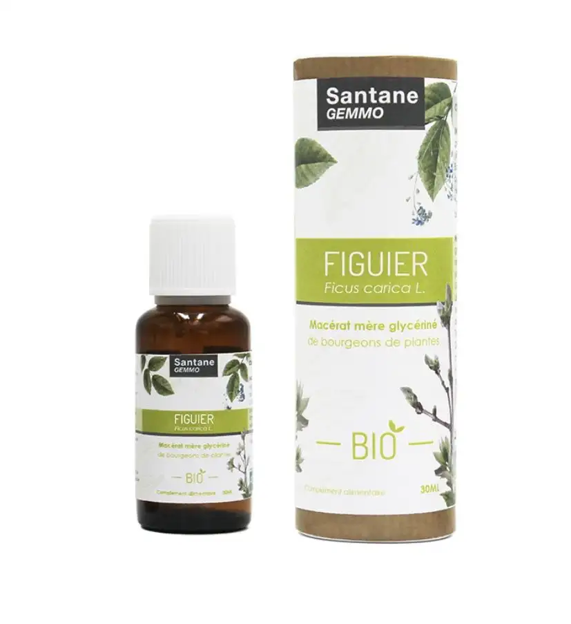 Figuier Bio Santane Gemmo 30Ml