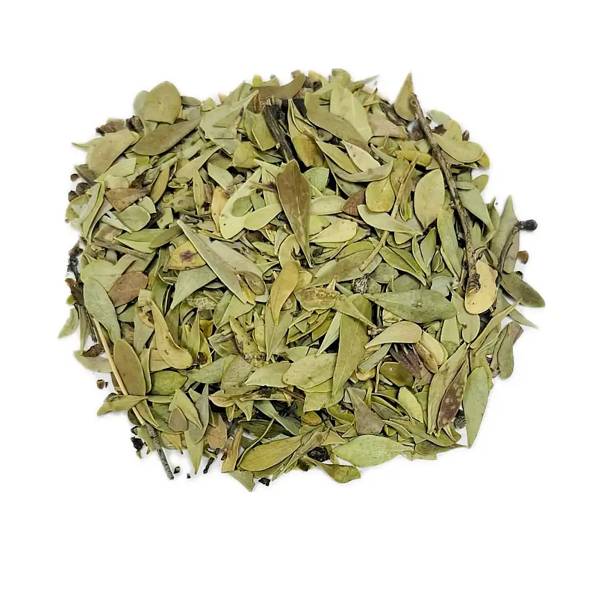 Globulaire en vrac - Feuille Mondee 100G