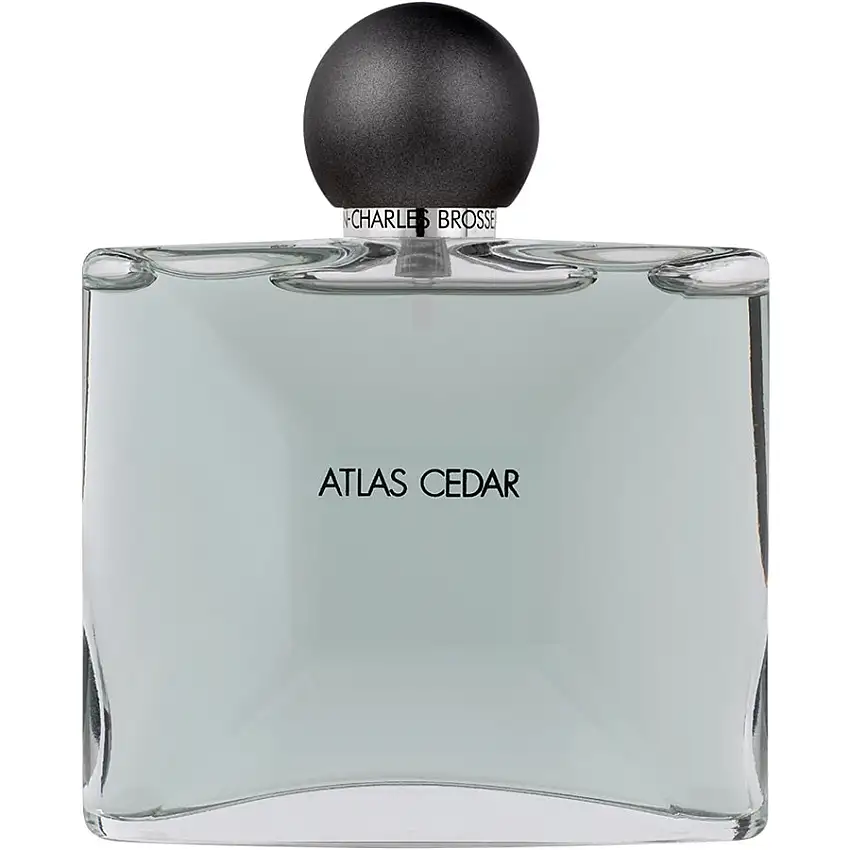 Jean-Charles Brosseau Collection HommeAtlas Cedar