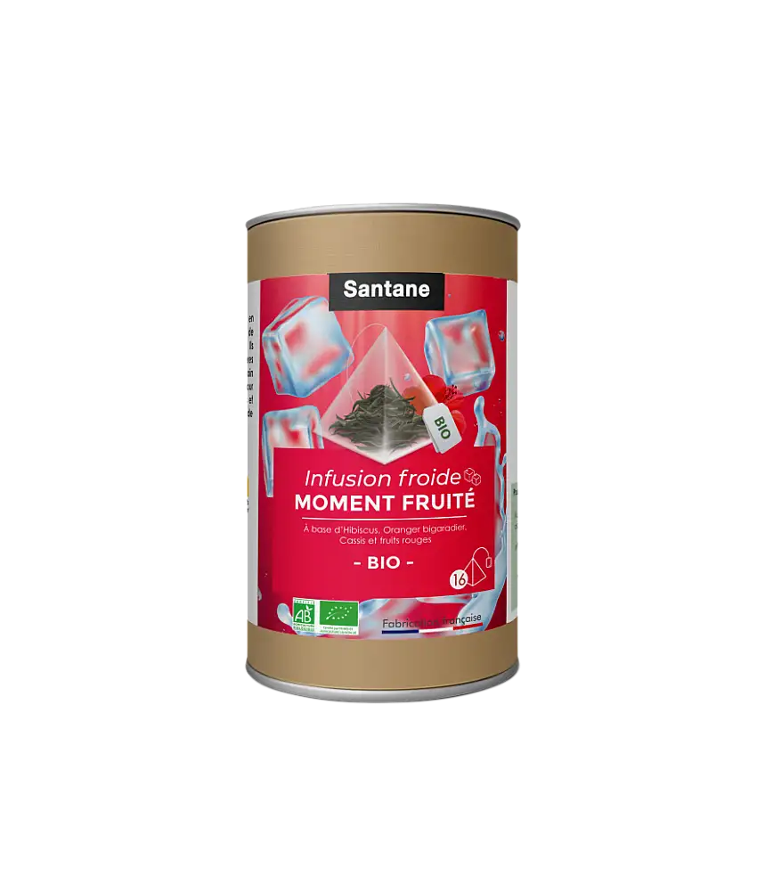 Santane Moment Fruité Infusion x16