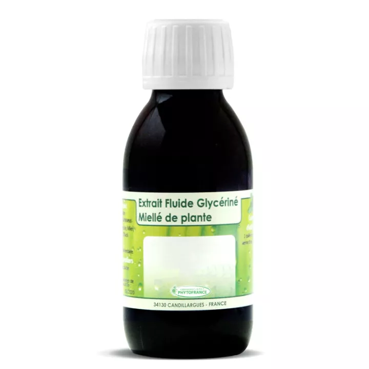 Euphraise Bio Extrait Fluide Glycériné Phytofrance 125 ml