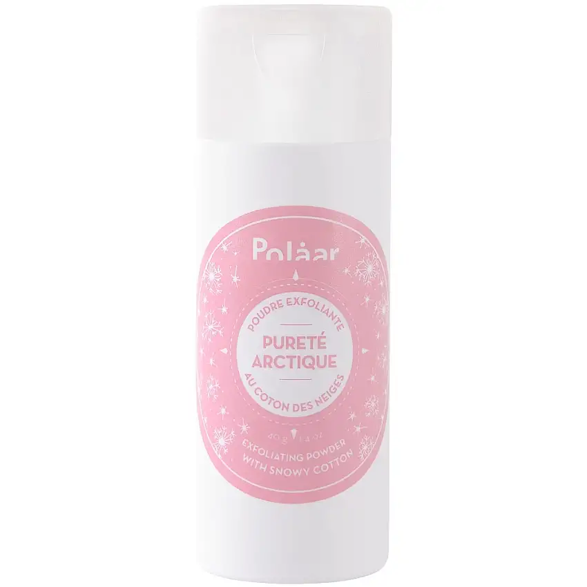 Pureté Arctique Poudre Exfoliante 40g