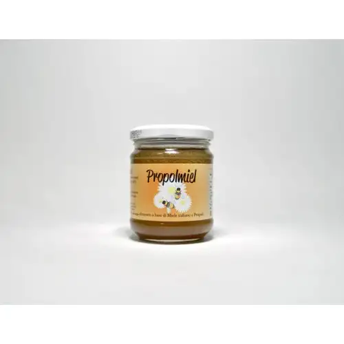 Andreini Propolmiel Nourriture 250g