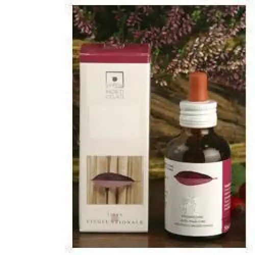 Santiveri Sequoia Gigantea Extrait Glycéroalcoolique 50ml