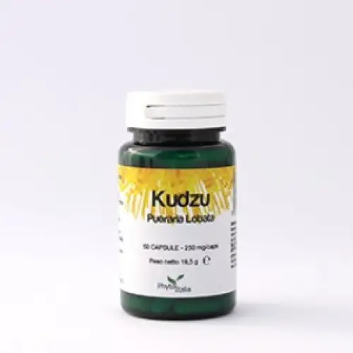 Kudzu Complément Alimentaire 60 Gélules