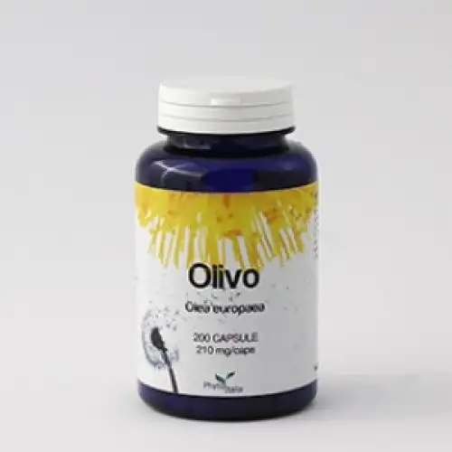 PhytoItalia Olivo Complément Alimentaire 60 Gélules