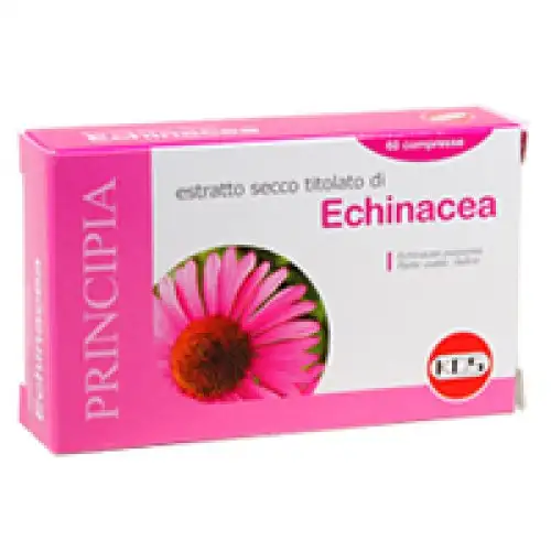 Kos Complément Alimentaire Extrait Sec d'Echinacée 60 Comprimés