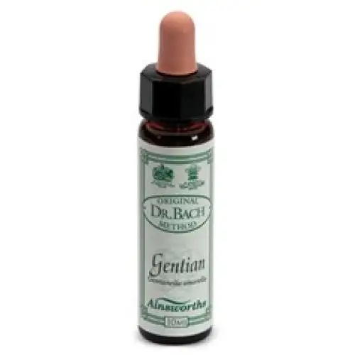 Santiveri Ainsworths Gentiane Complément Alimentaire 10ml