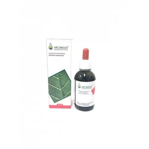 Arcangea Guarana Solution Hydroalcoolique Complément Alimentaire 50 ml