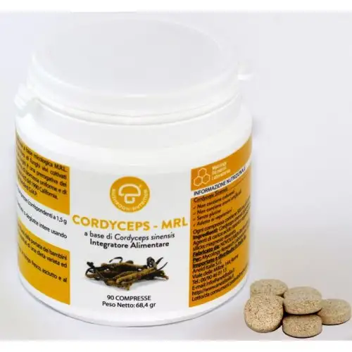 Aneid Cordyceps Mrl Complément Alimentaire 90 Comprimés