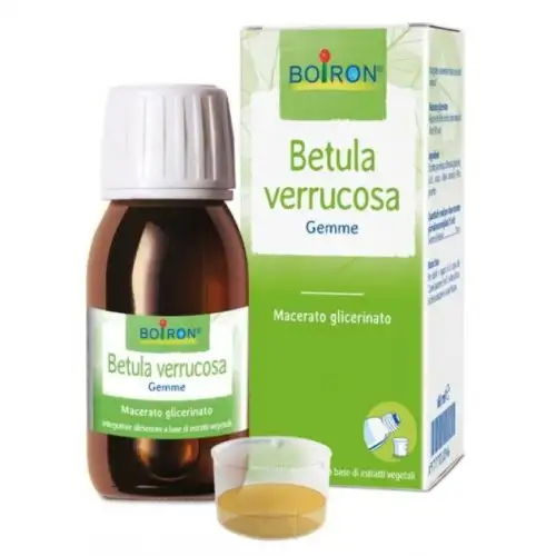 Sarandrea Marco Birch Verrucosa Gems Remède Homéopathique 100ml Mg