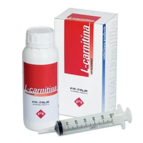 L CARNITINA 500G