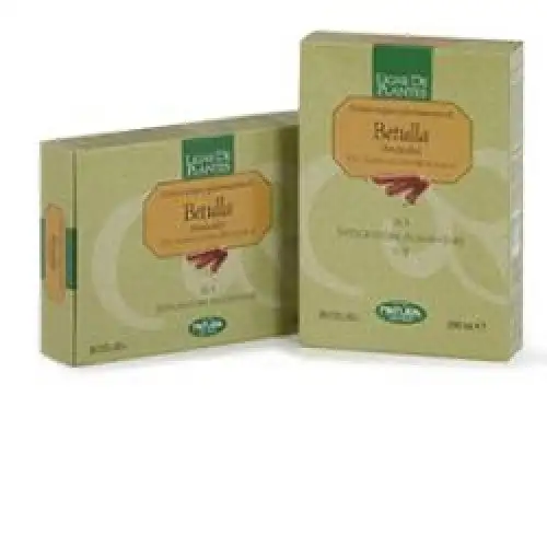 Bouleau 20ab 15ml