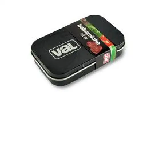 Val Balsamique Pastilles Aux Groseilles 50g