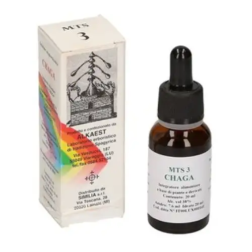 Alkaest Mts3 Gouttes Chaga 20ml
