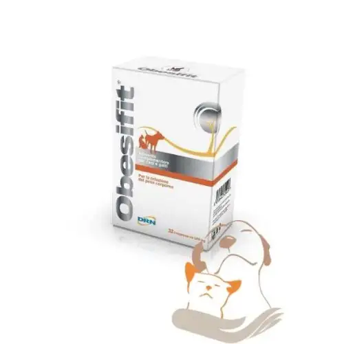 Drn Obesifit Complément Alimentaire 32 Comprimés