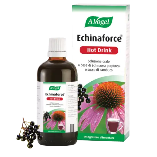 Echinaforce Complément Alimentaire Boisson Chaude 100 ml