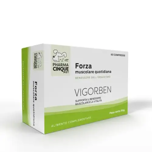 VIGORBEN 60CPR