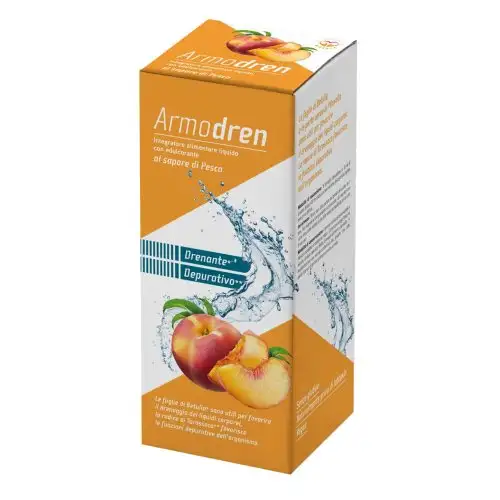 Armodren Gusto Pêche 500ml