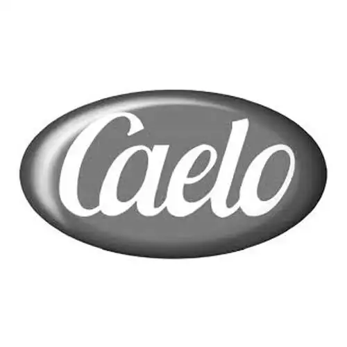 Caelo Bismuth Basic Nitrate Matière Première 1kg