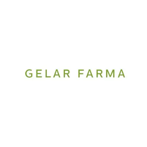 Gelar Farma Gelarvit 2000 Complément Alimentaire Energy Tonic 12 Ampoules De 10 ml