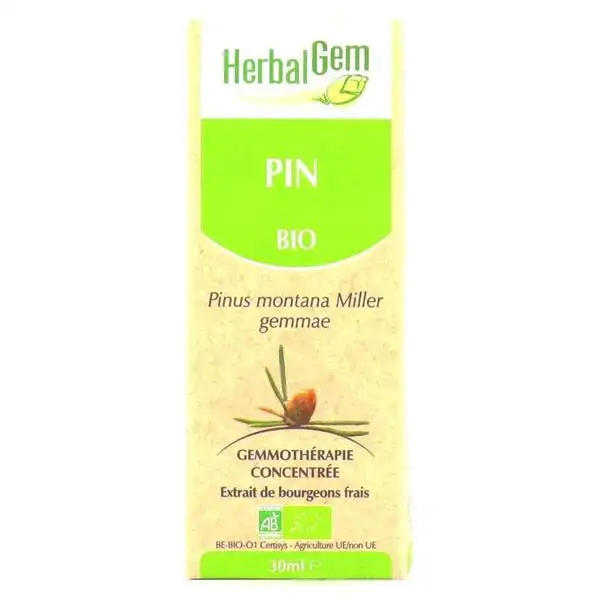 Herbalgem Macérat Concentré Pin des Montagnes Bio 30ml