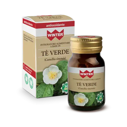 WINTER® THÉ VERT 30 Gélules Végétales