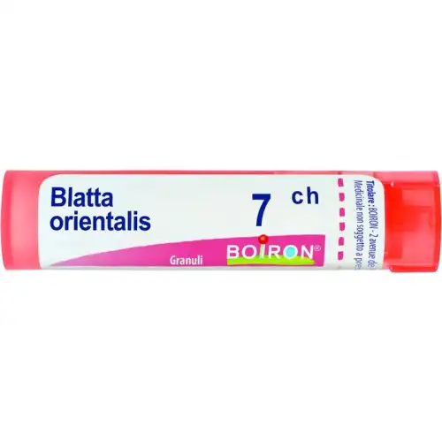 Blatte Orientalis 7ch Boiron Granulés 4g