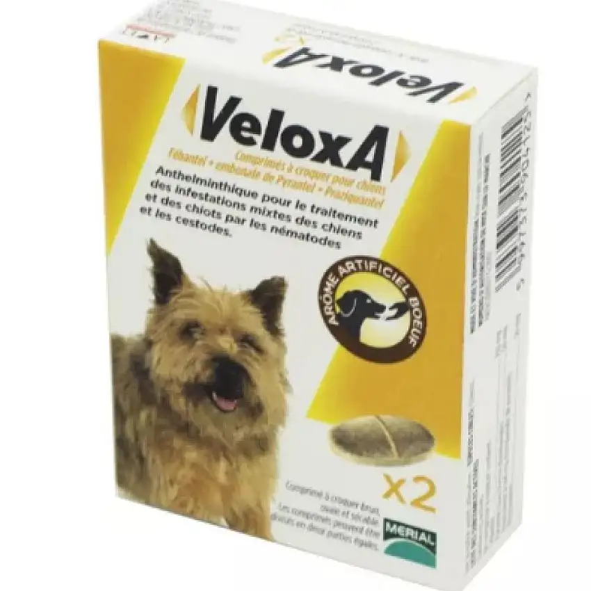 Boerhinger - Veloxa - 2 comprimés à croquer ordonnance obligatoire
