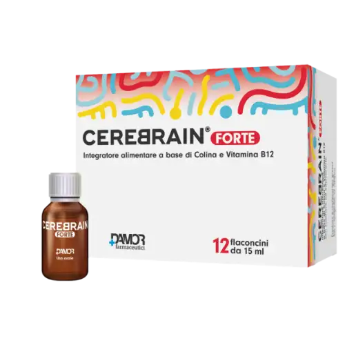 CEREBRAIN® FORTE DAMOR 12 Ampoules de 10ml