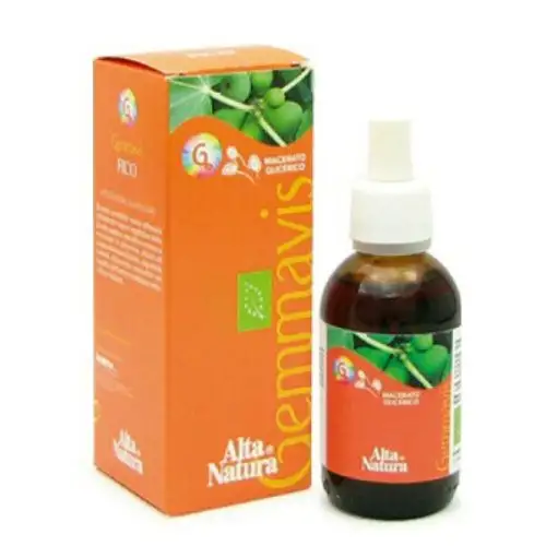 Alta Natura Gemmavis Extrait de bourgeon d'aulne blanc 50ml