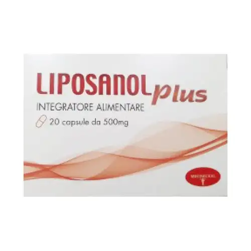 LIPOSANOL PLUS MHEDHICHAL 20 Gélules