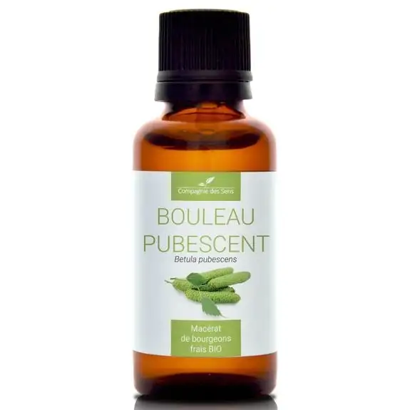 Compagnie des sens BOULEAU PUBESCENT  Macérat de bourgeons BIO 30ML