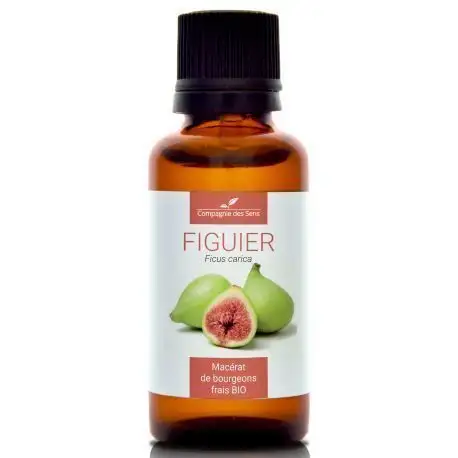 Compagnie des sens FIGUIER  Macérat de bourgeons BIO 30ml