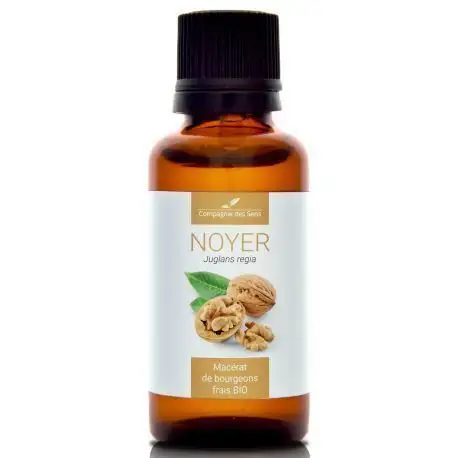Compagnie des sens NOYER  Macérat de bourgeons BIO 30ml