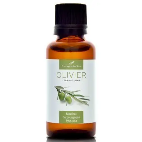 Compagnie des sens OLIVIER  Macérat de bourgeons BIO 30ml