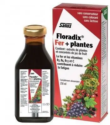 Salus Toniques Floradix Fer + Plantes 250ml