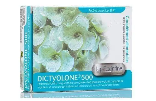Texinfine Dictyolone 500 45 comprimés