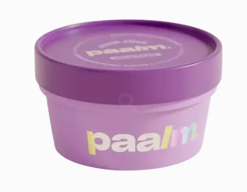 Paalm Cosmetics Desodorante MUSK ELIXIR 50 ml