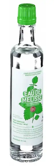 Eau de Mélisse des Carmes Boyer 100ml