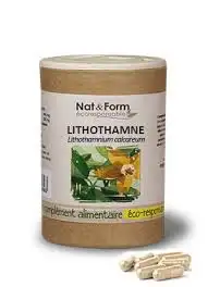Nat & form lithothamne 60 gélules