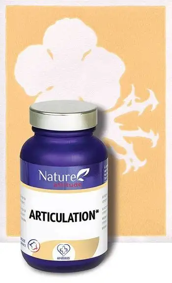 Nature Attitude Articulation 60 gélules