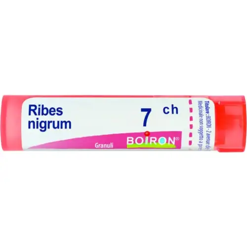 Ribes Nigrum 7ch Boiron Granulés