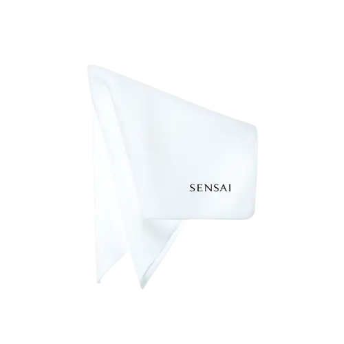 CHEF ÉPONGE SENSAI